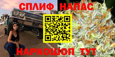 PSILOCYBIN Кулебаки