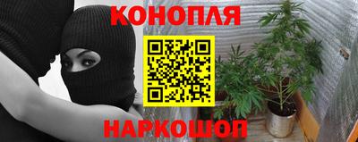 индика Краснокаменск
