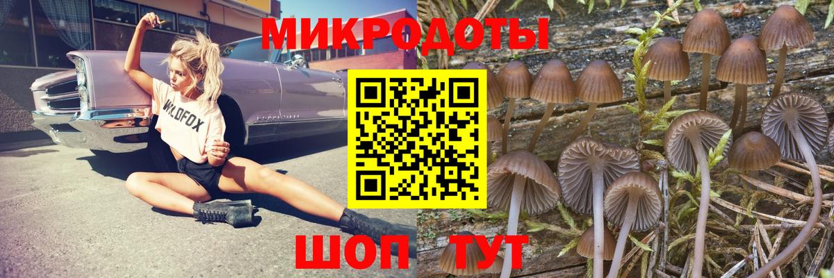 Псилоцибиновые грибы MAGIC MUSHROOMS  Вход с VPN  Электрогорск 